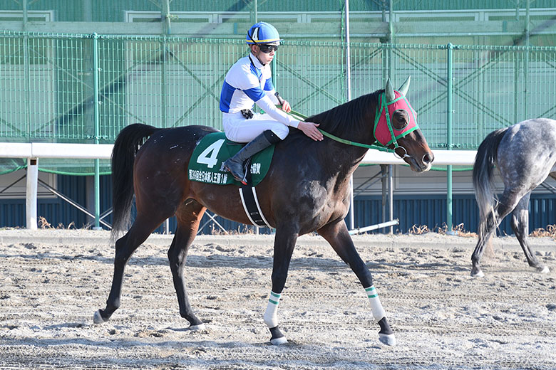 第39回全日本新人王争覇戦｜web Furlong