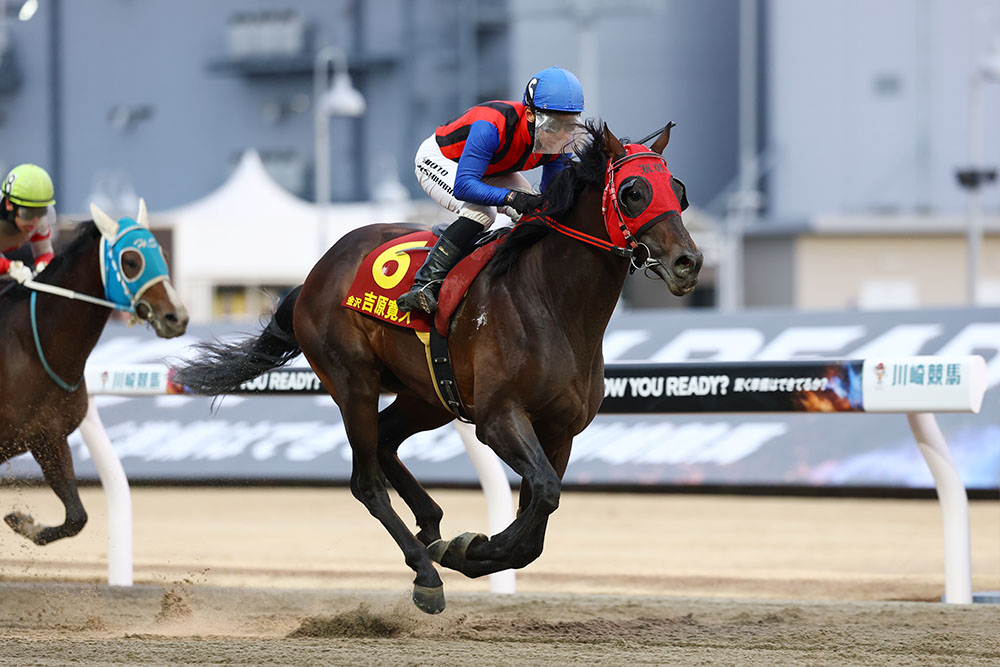 第22回佐々木竹見カップジョッキーズグランプリ｜web Furlong