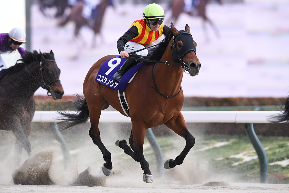 第42回フェブラリーステークスGI｜web Furlong