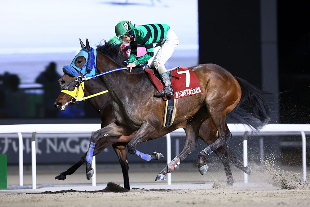 第23回若草賞土古記念｜web Furlong