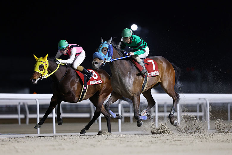 第23回若草賞土古記念｜web Furlong