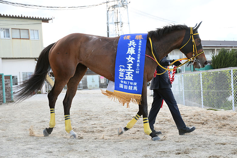 第2回兵庫女王盃JpnIII｜web Furlong