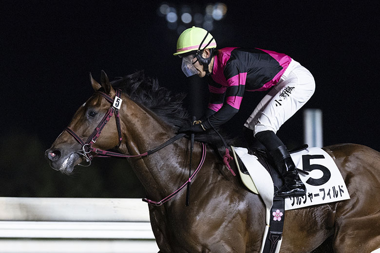 金属製　馬の親子オブジェ人形　真鍮製？　検索北海道優駿　競走馬　馬ホースレース 金属製 馬の親子オブジェ人形 真鍮製？ 検索北海道優駿 競走馬 馬