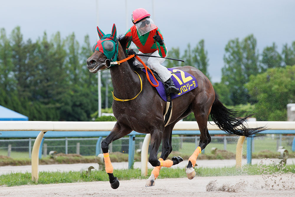 競馬　スイープトウショウ　2005年　優勝記念品　ウマ娘　深川製磁　鉢 競馬 スイープトウショウ 2005年 優勝記念品 ウマ娘 深川製磁 鉢