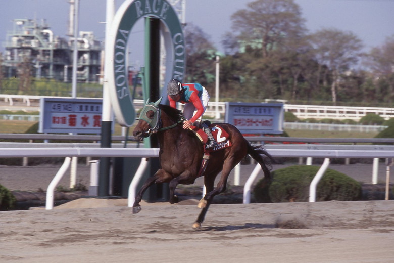 REWIND 00's｜web Furlong