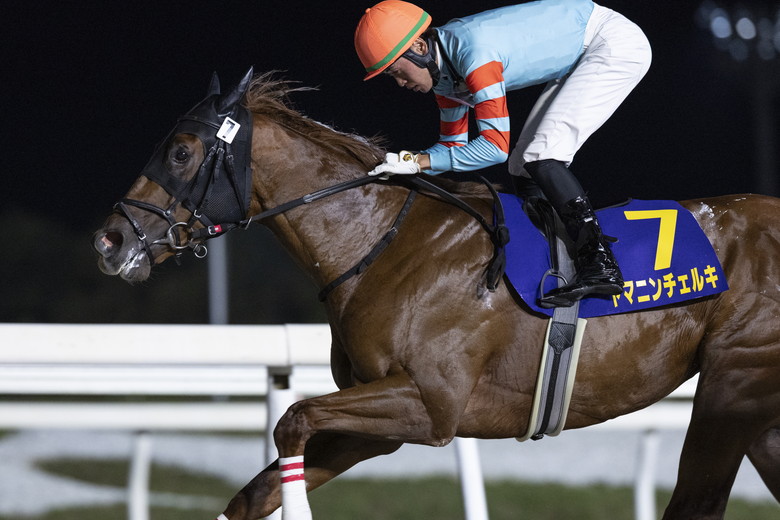 ノリタケ　競走馬跳馬 ノリタケ競走馬