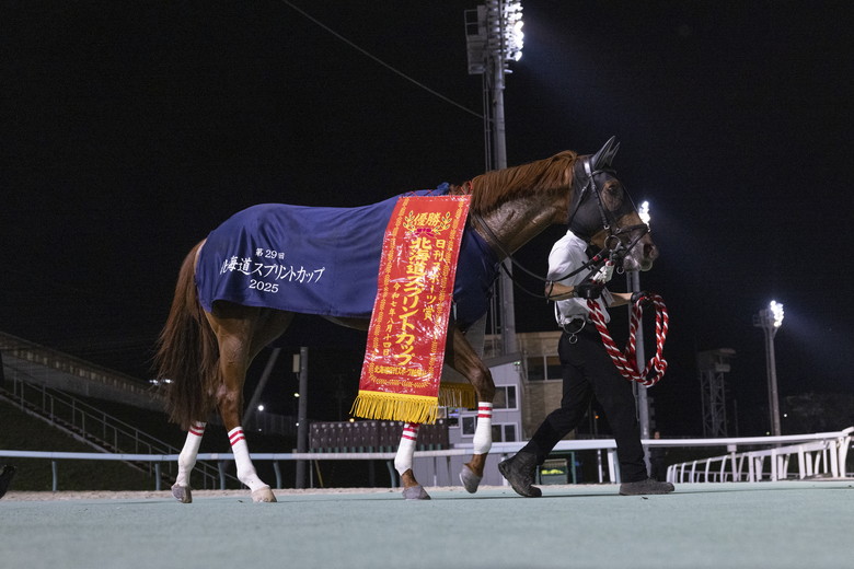 ノリタケ　競走馬跳馬 ノリタケ競走馬