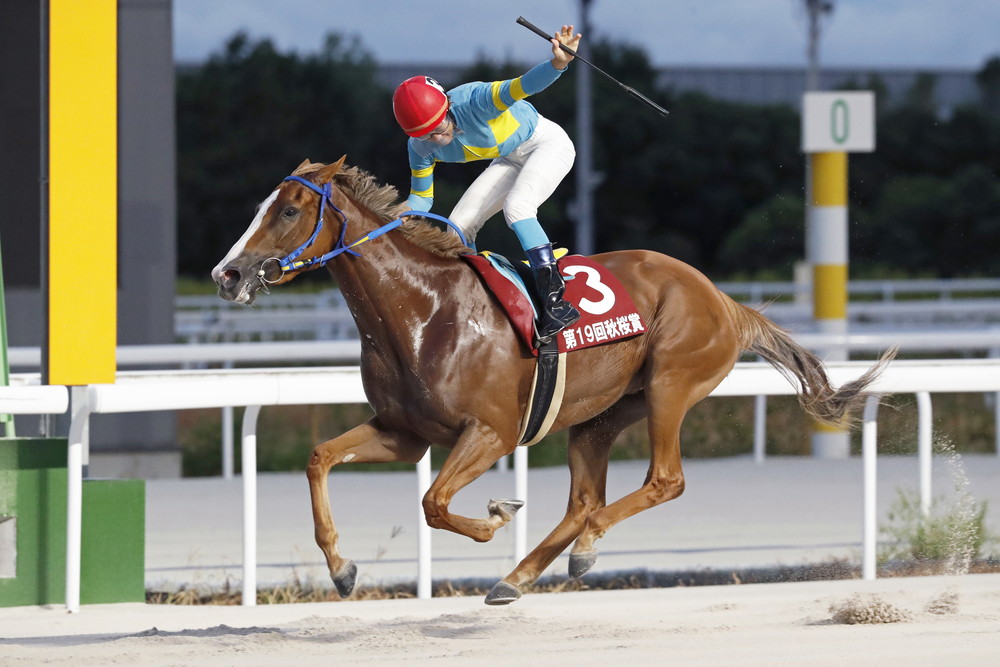 【中古】 ハロン 地方競馬の季刊情報誌 １８４/ＮＡＲ地方競馬全国協会 地方競馬全国協会(NAR)公式 on X: 