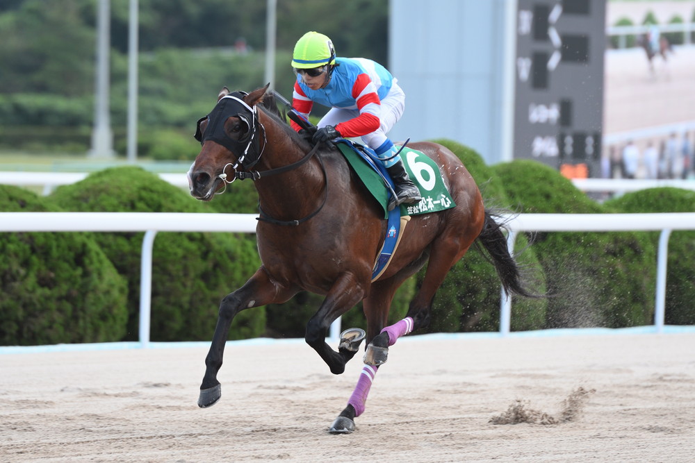 ヤングジョッキーズシリーズTR 佐賀｜web Furlong