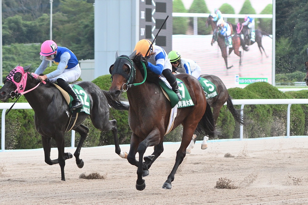 ヤングジョッキーズシリーズTR 佐賀｜web Furlong