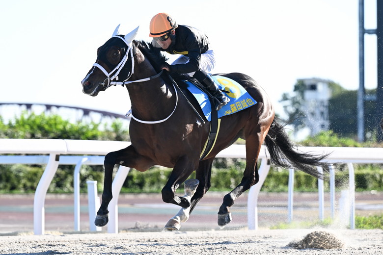 ヤングジョッキーズシリーズTR 笠松｜web Furlong