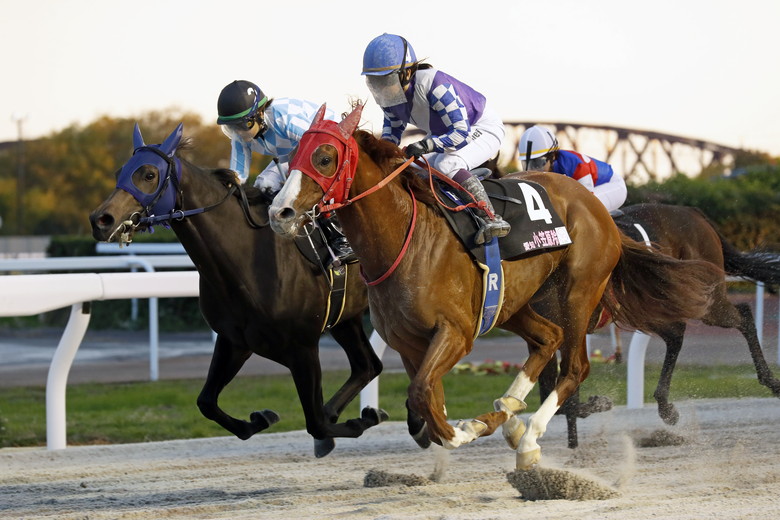 レディスジョッキーズシリーズ ザ・ファイナル 笠松ラウンド｜web Furlong