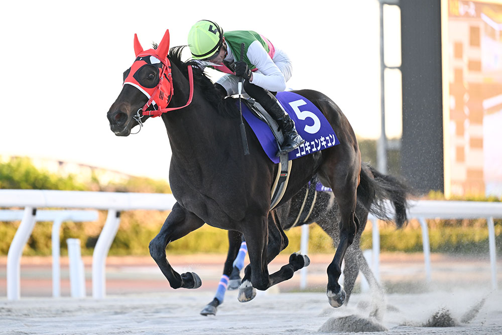 第12回ラブミーチャン記念｜web Furlong