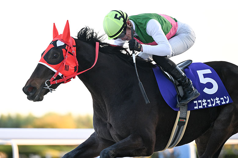 第12回ラブミーチャン記念｜web Furlong