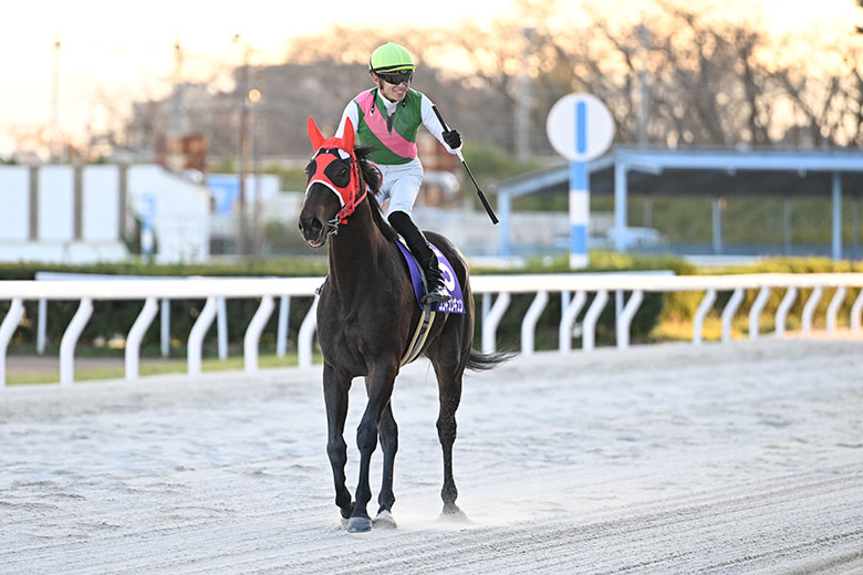 第12回ラブミーチャン記念｜web Furlong