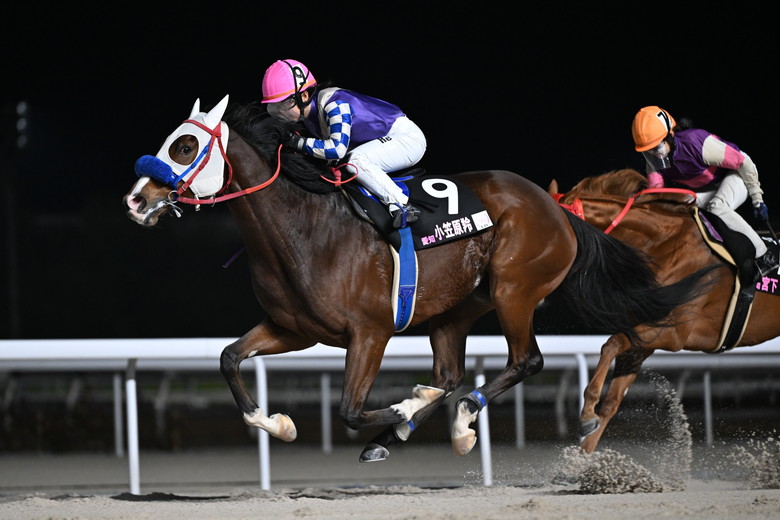 レディスジョッキーズシリーズ ザ・ファイナル 名古屋ラウンド｜web