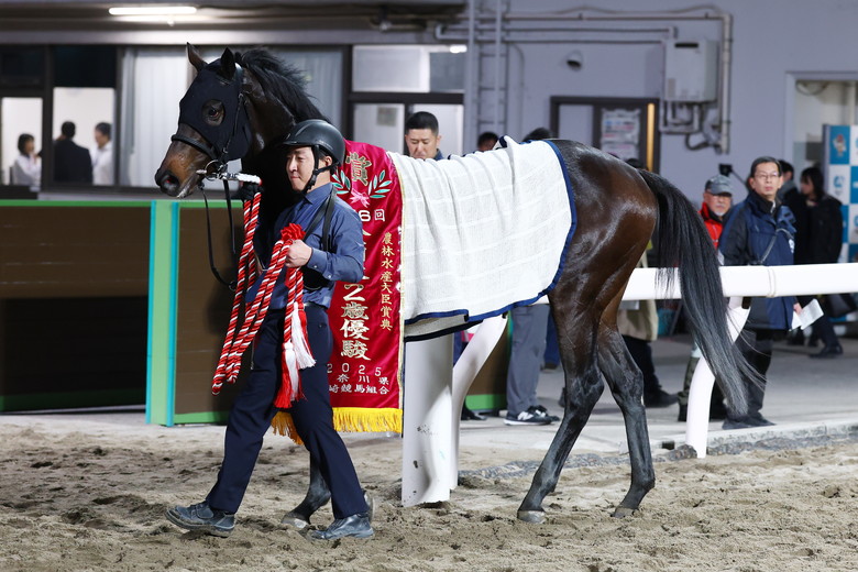 盗まれた馬 第76回全日本2歳優駿JpnI｜web Furlong
