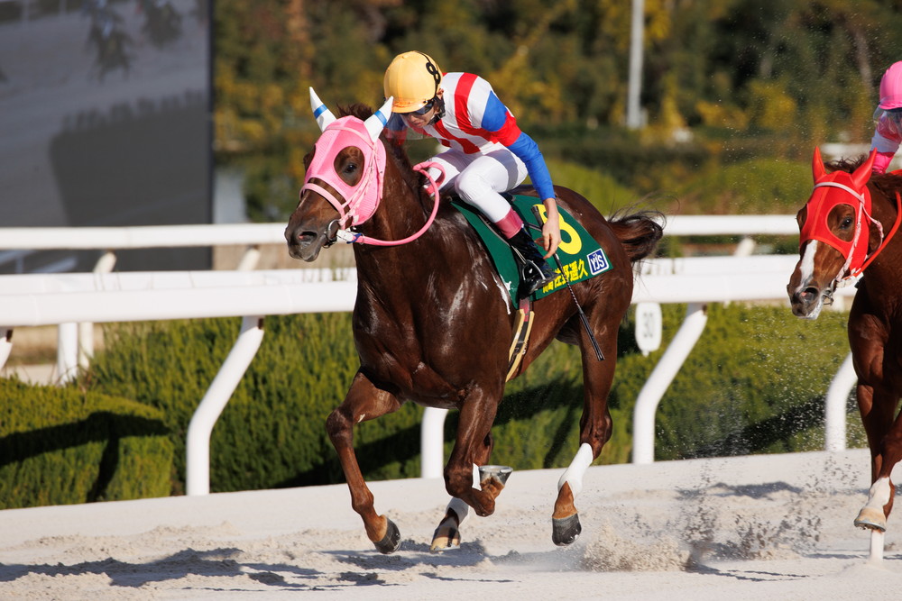 ヤングジョッキーズシリーズFR 園田｜web Furlong