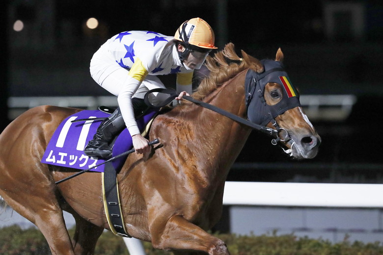 第63回ゴールドカップ｜web Furlong