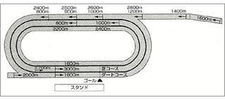 走路