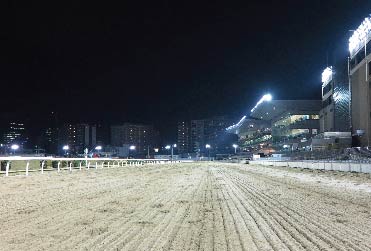 川崎競馬場