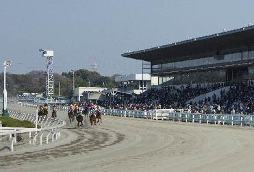 園田競馬場