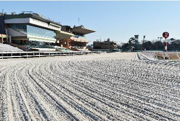 名古屋競馬場