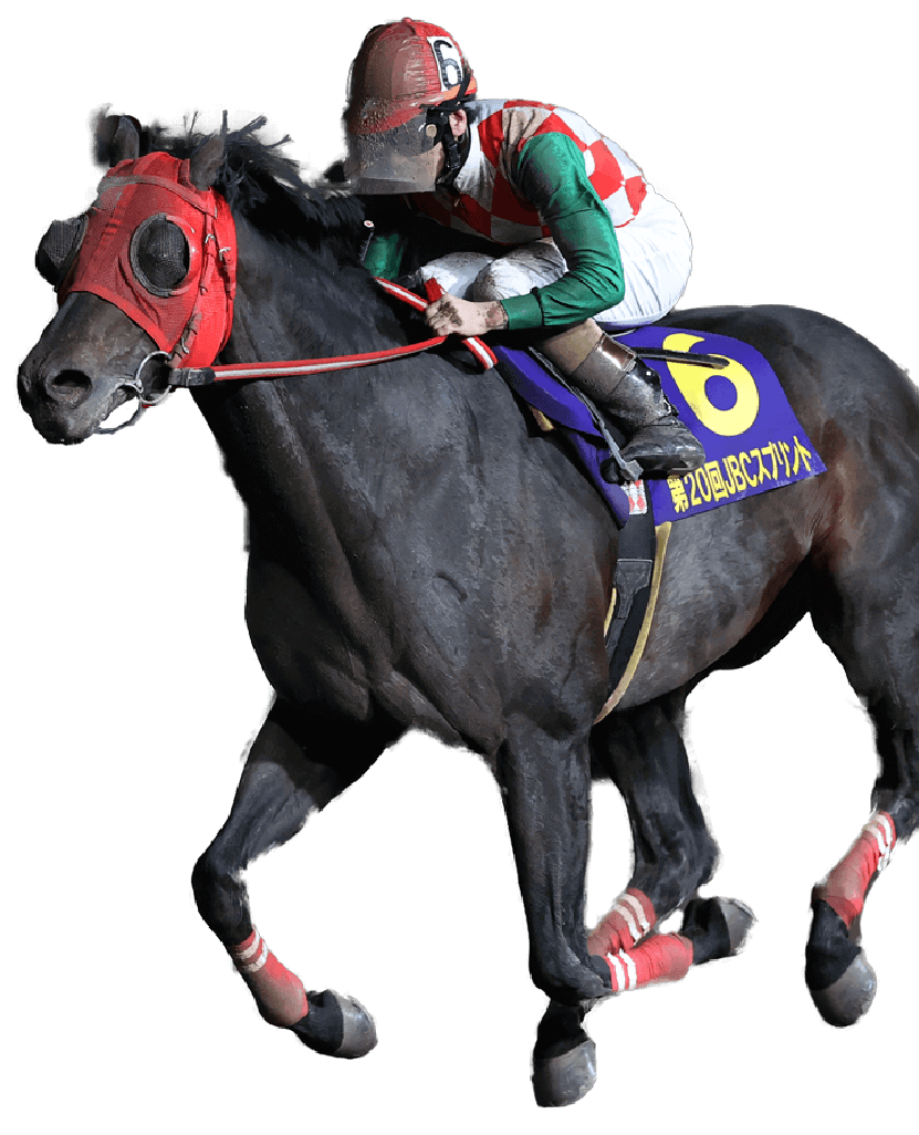 表彰馬 表彰者一覧 Narグランプリ 表彰馬 表彰者一覧 Narグランプリ