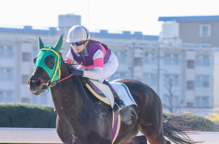 年間100勝達成(ショウリオウ)