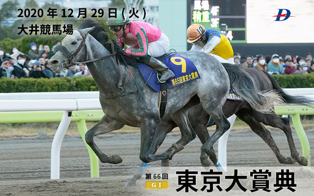地方競馬情報サイト