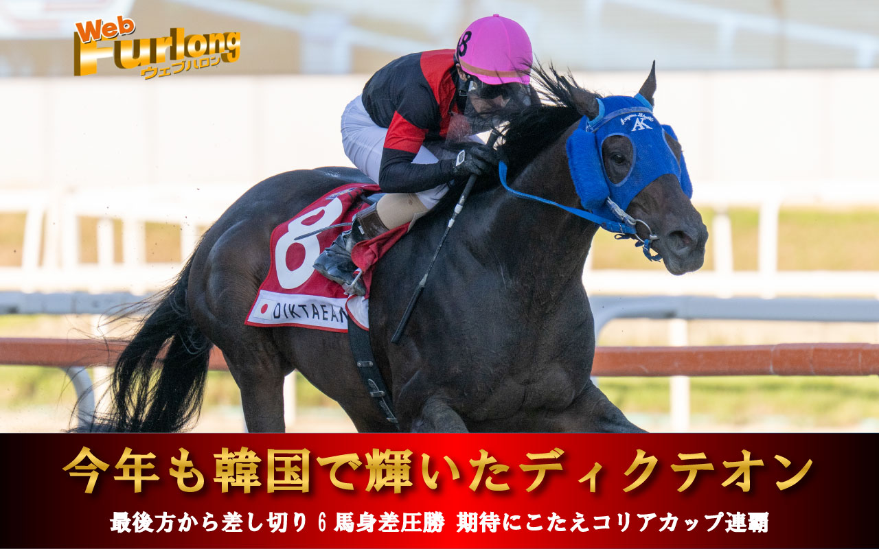 コリアカップ ディクテオン