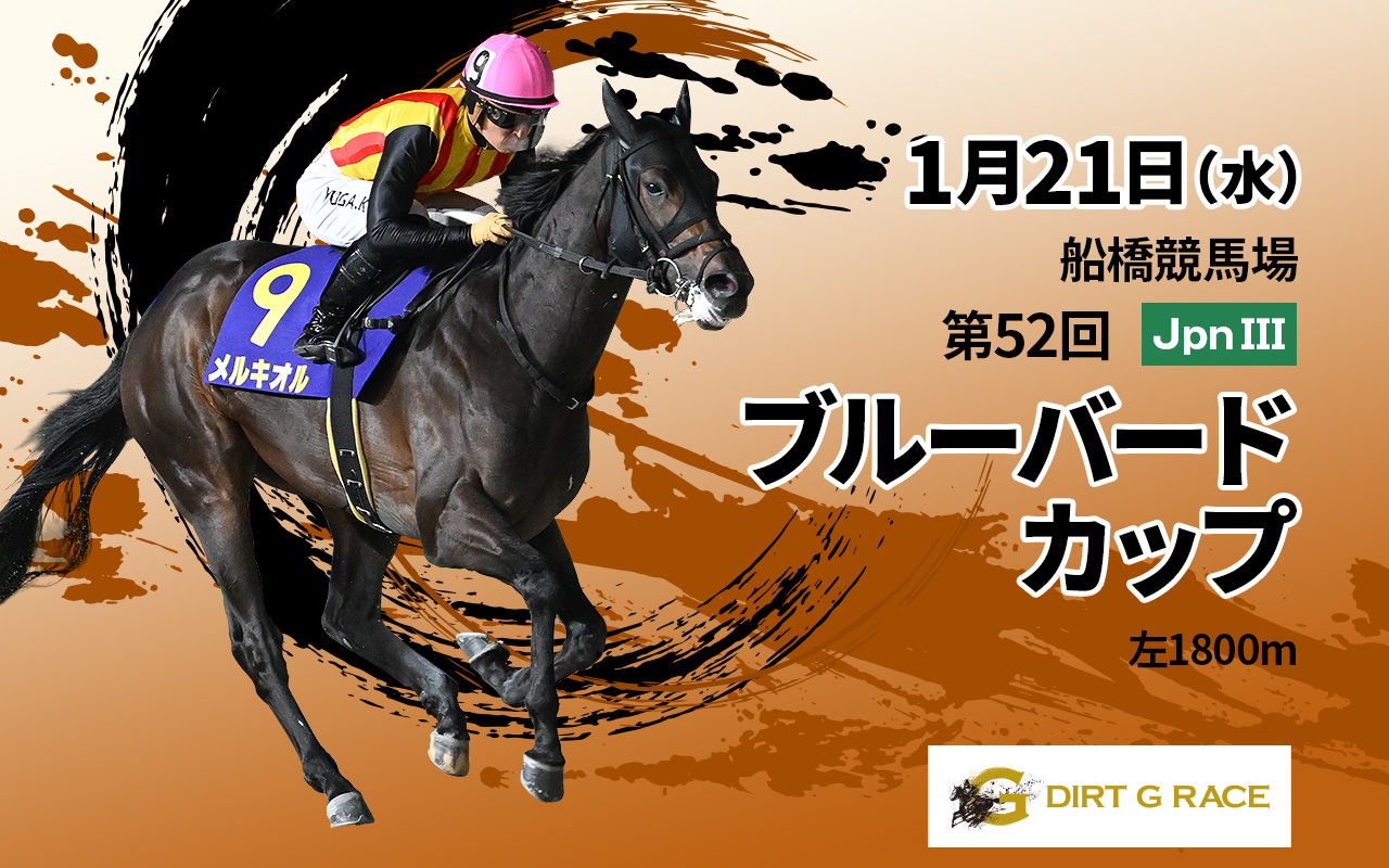 DGブルーバードカップ