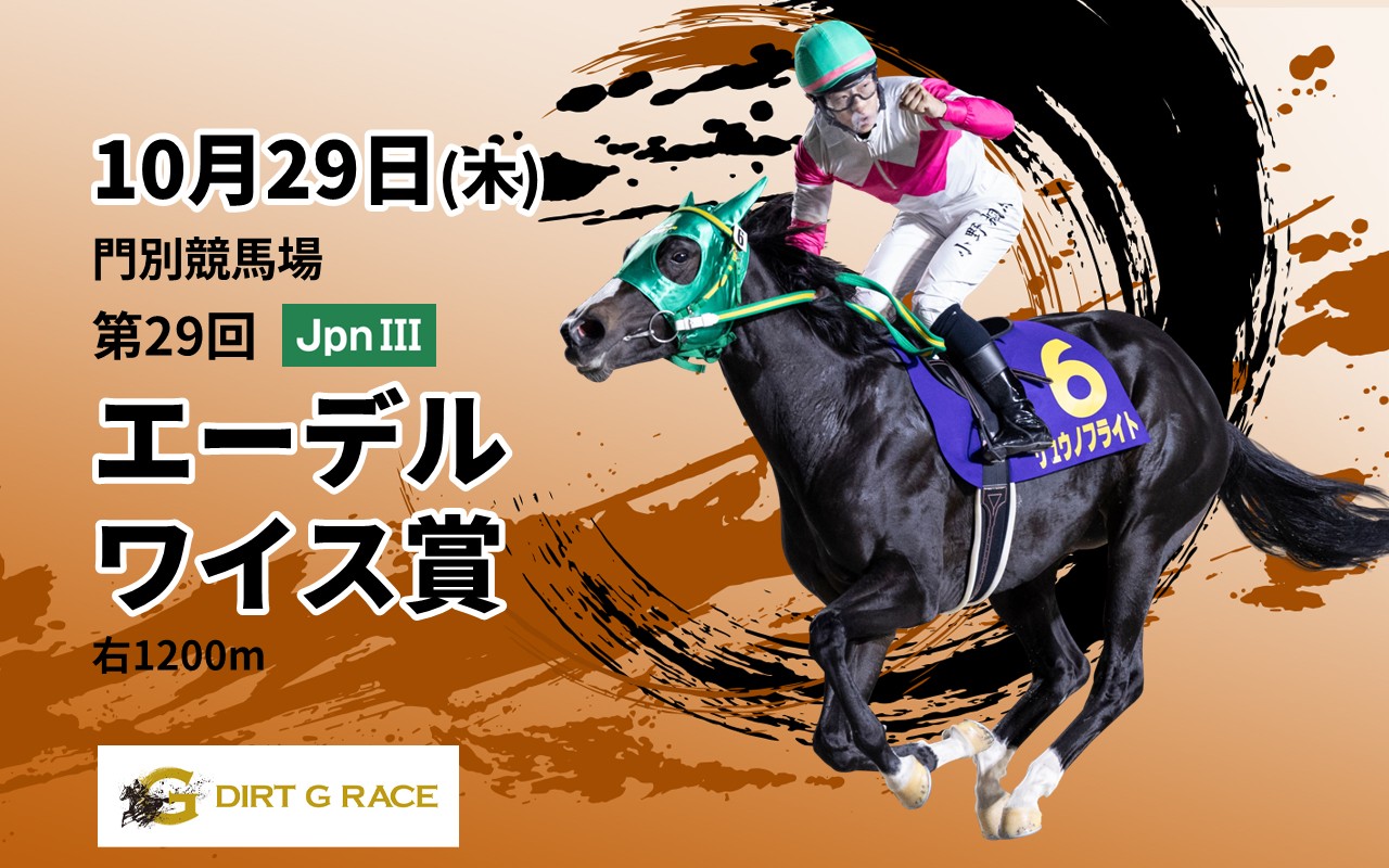 DGエーデルワイス賞1029