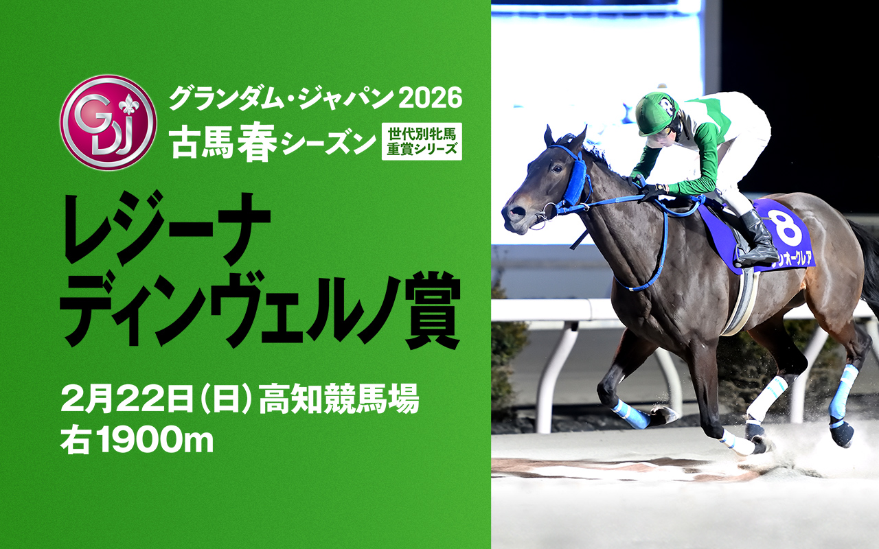 GDJレジーナディンヴェルノ0222