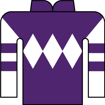 JRA 競馬 勝負服 キストゥヘヴン 吉田和子氏 中古 社台 安藤勝己騎手サイン 盤石な展開になった」安藤勝己氏がマイルCSを制したジャンタル