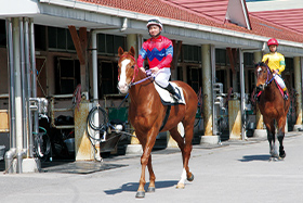 競馬場への入厩