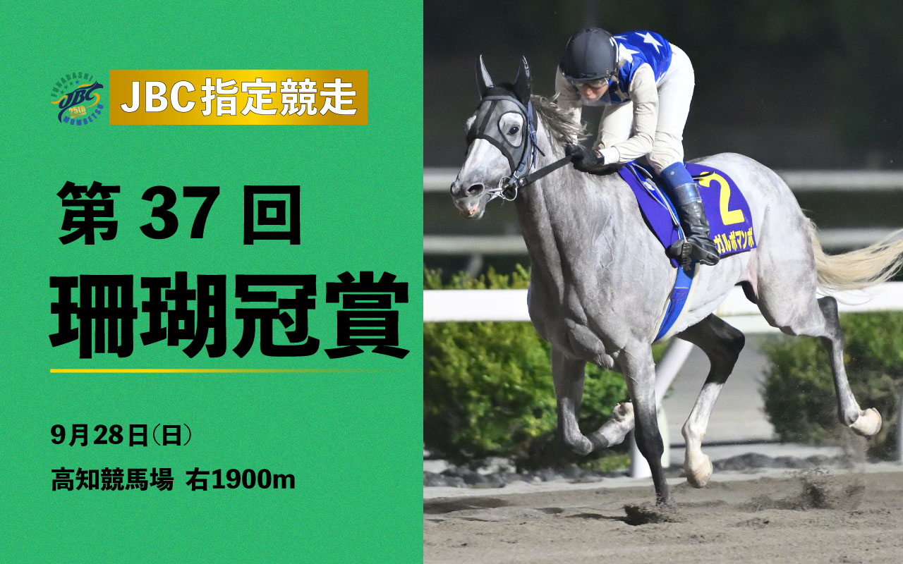 珊瑚冠賞0928