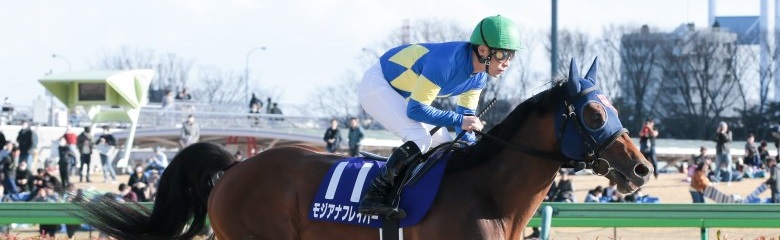 地方競馬ファン投票 歴代結果 もっと 地方競馬 地方競馬情報サイト