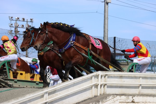 帯広競馬場 写真2