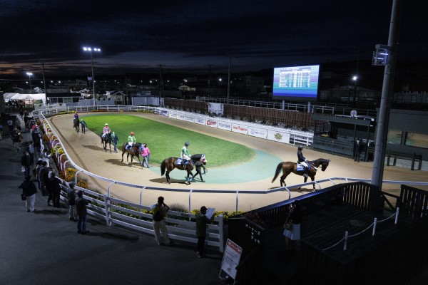 門別競馬場 写真2