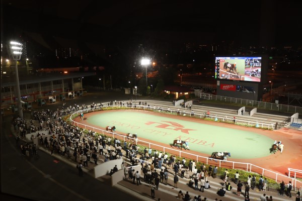 大井競馬場 写真2