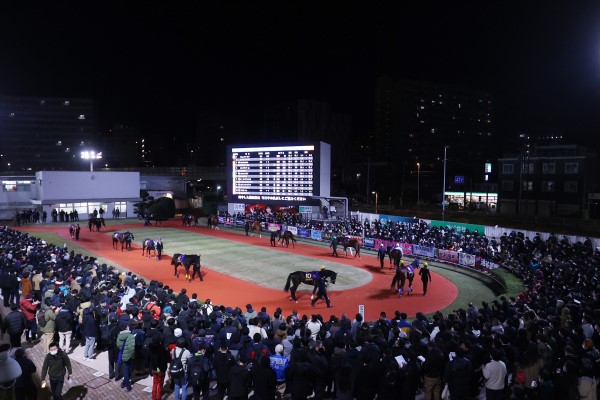 川崎競馬場 写真2