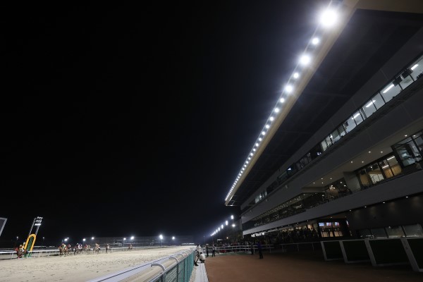 名古屋競馬場 写真2