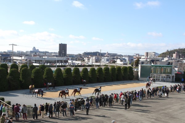 姫路競馬場 写真2