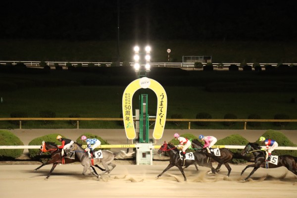 佐賀競馬場 写真2