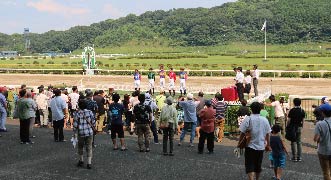 緑の競馬場