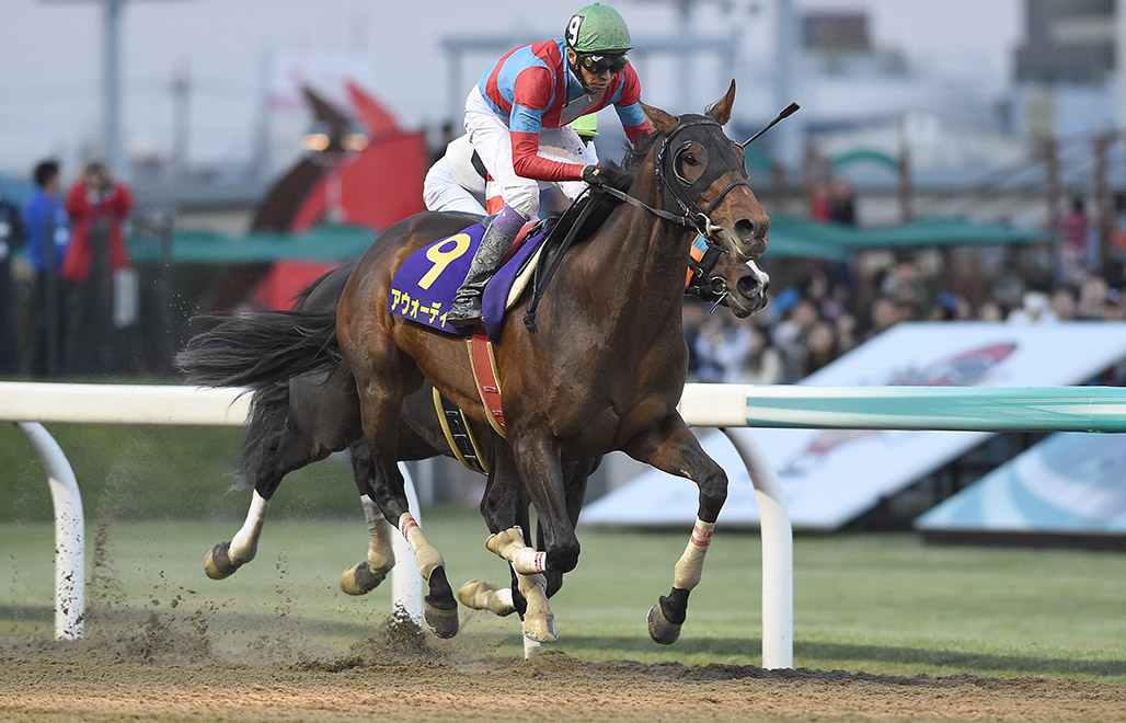 出走 表 競馬 大井 東京シティ競馬 :