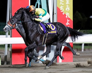 東京盃 JpnII