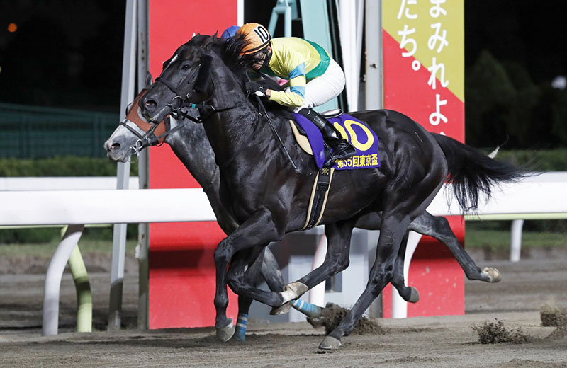 東京盃