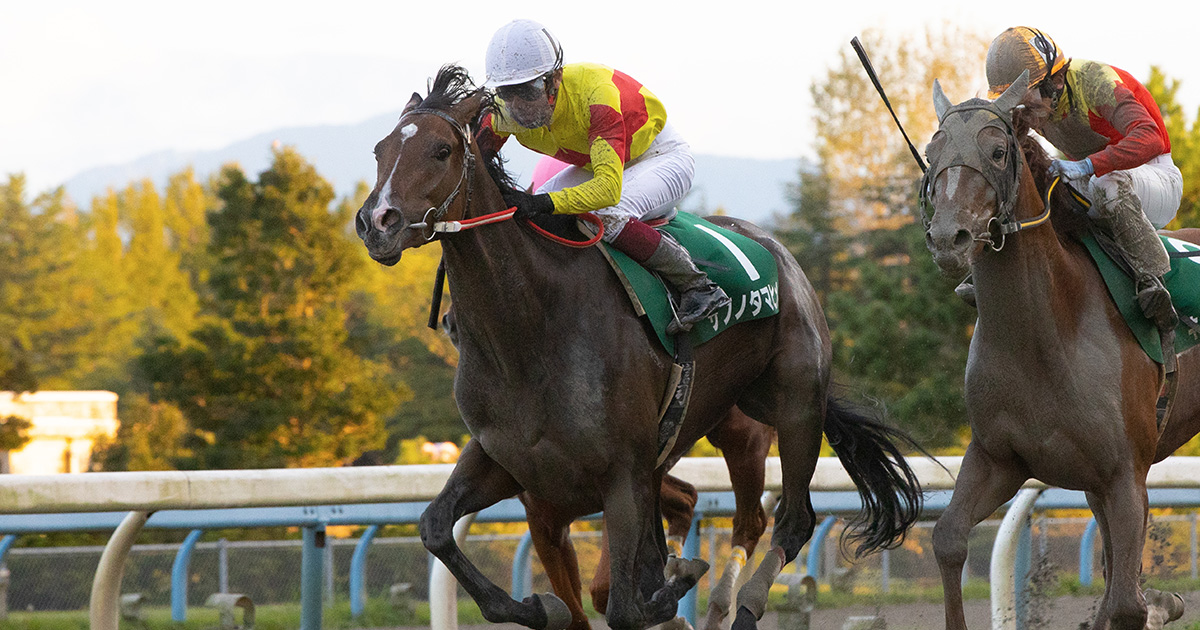 レース紹介 兼六園ジュニアカップ Jbc21特設サイト